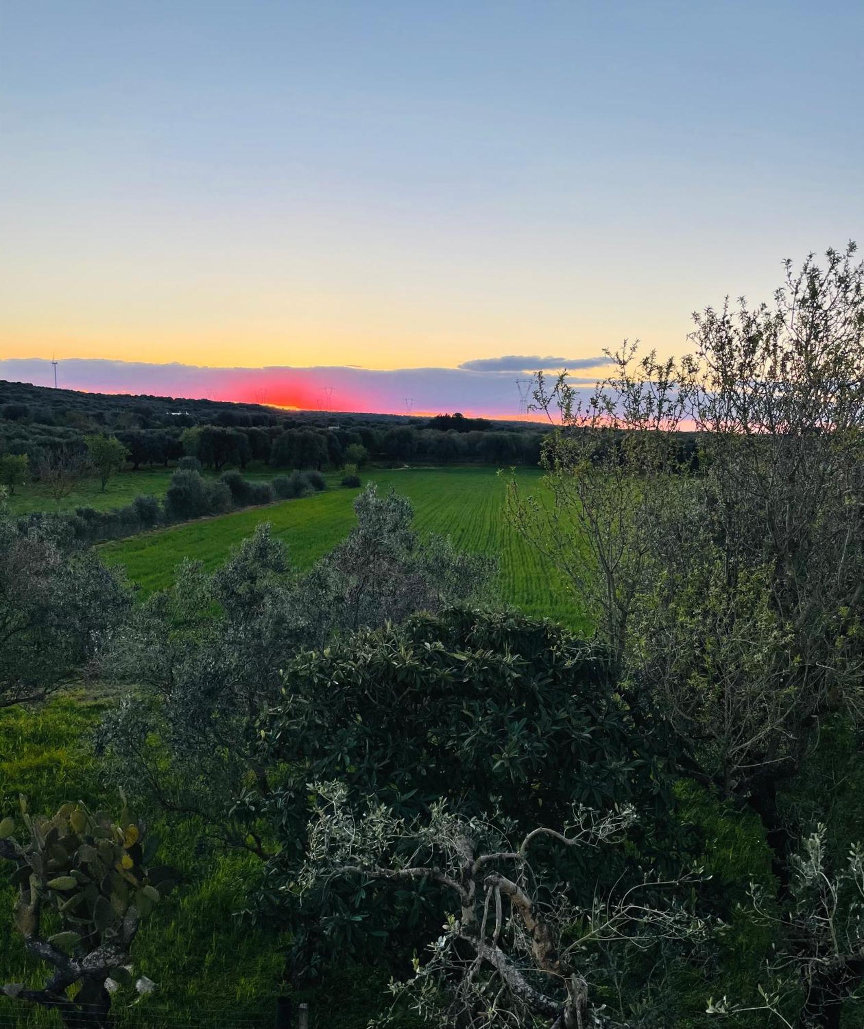 La Nicchia Lejlighed Villa Castelli Eksteriør billede