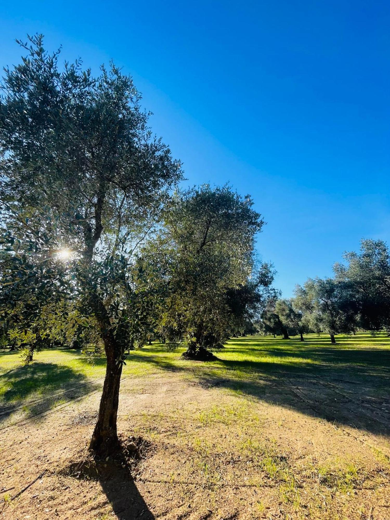 La Nicchia Lejlighed Villa Castelli Eksteriør billede
